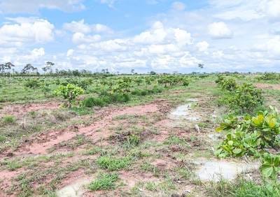 ដីកសិកម្ម សំរាប់លក់ នៅSambour តម្លៃ $754,699