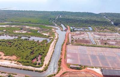 Ou Krasar ที่ดิน สำหรับขาย ใน Ou Krasar