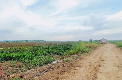 ที่ดิน สำหรับขาย ใน Roka Khpos, สอang, กันดาล