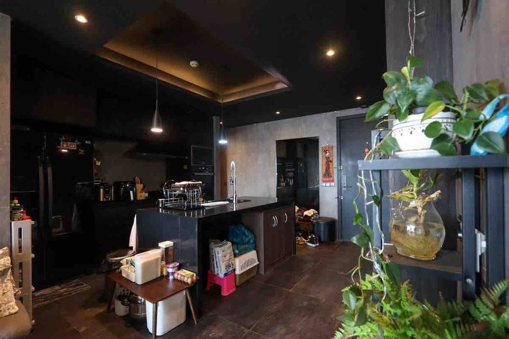 已装修公寓For Sale & Rent
