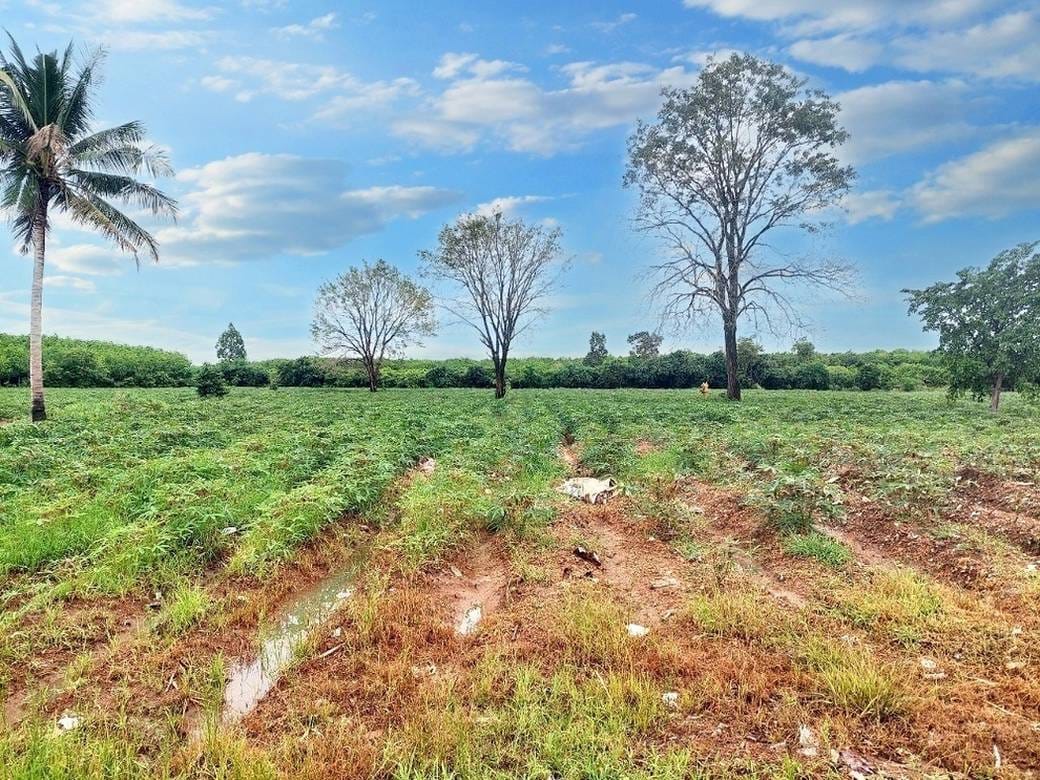 7,486 sqm Land Size Lot For Sale