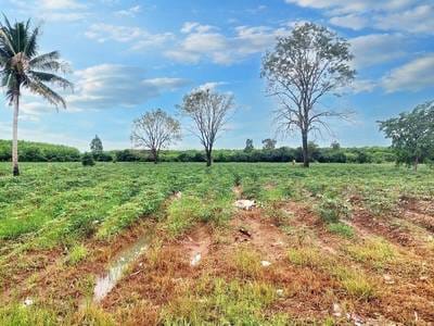 7,486 sqm Land Size Lot For Sale