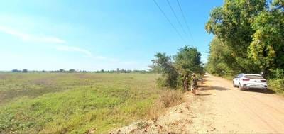 Lot For Sale in Kien Svay $10,000,000