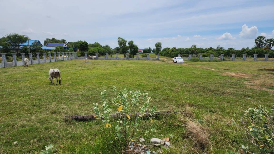 S'ang Relief À vendre à S'ang