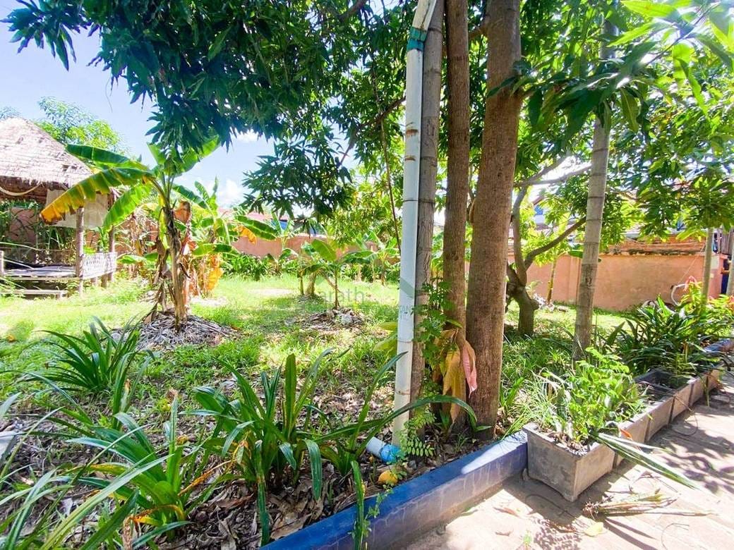 Kanceláře K pronájmu in Siem Reap $600