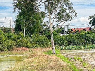 Lot For Sale in Siem Reap $1