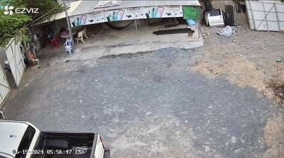 Lot For Rent in Toul Kork $1,000
