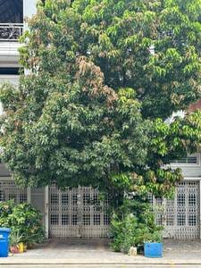 100.8 sqm Land Size Flat House For Sale