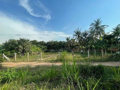 ที่ดิน สำหรับขาย ใน Khsach Kandal $62,000