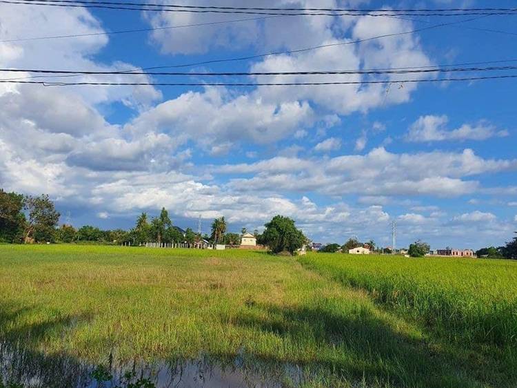 Farm Land For Sale in Chreav, Siem Reap