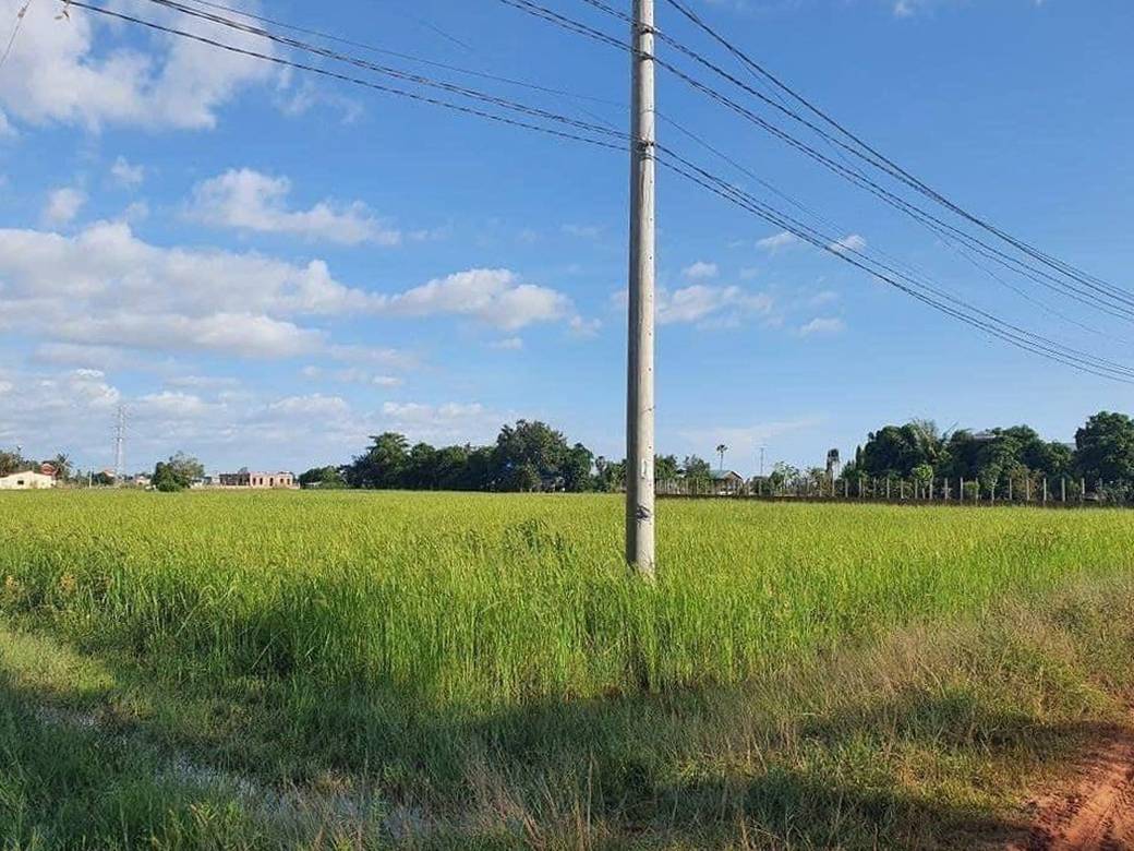 ที่ดินเกษตรกรรม สำหรับขาย ขนาดที่ดิน 7,709 ตร.ม.