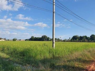 ที่ดินเกษตรกรรม สำหรับขาย ขนาดที่ดิน 7,709 ตร.ม.