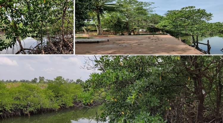 Land For Sale in Chroy Svay, Srae Ambel, Koh Kong
