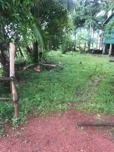 Chroy Svay ที่ดิน สำหรับขาย ใน Chroy Svay