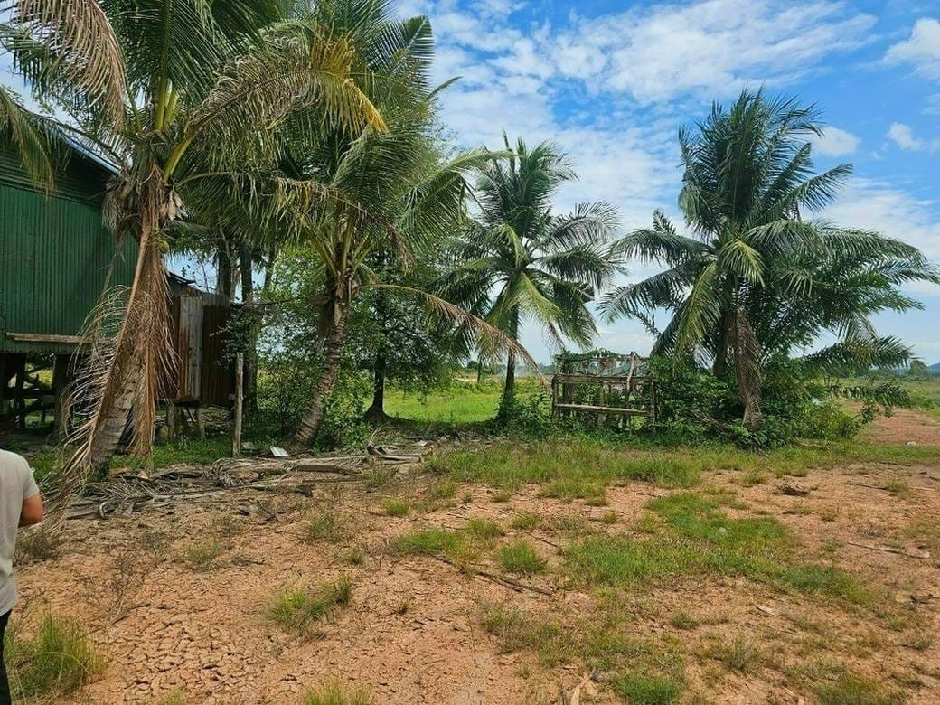 ที่ดิน สำหรับขาย ใน, Chroy Svay, สแรอัมเบิล, Koh kong