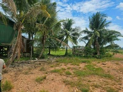ที่ดิน สำหรับขาย ใน, Chroy Svay, สแรอัมเบิล, Koh kong