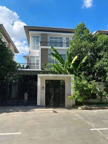Villa Jumelle À vendre à Phnom Penh Thmey, Sen Sok, Phnom Penh