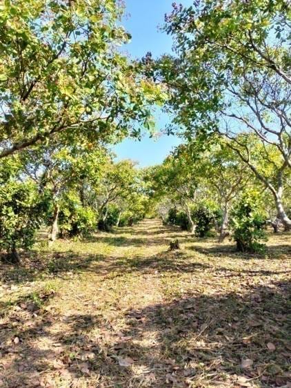 $395,000 Farm Land
