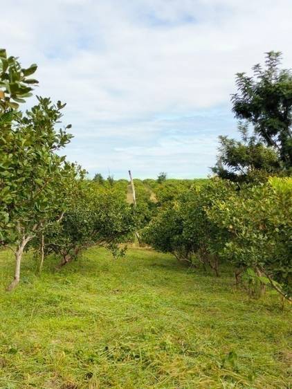 531,460 sqm Land Size Agricultural For Sale