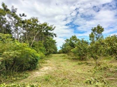 531,460 sqm Land Size Agricultural For Sale for $395,000