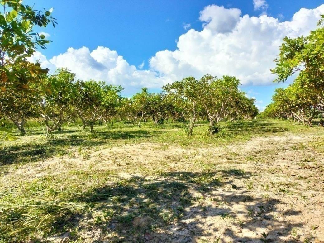 Thala Barivat Agricultural For Sale in Anlong Chrey Thala Barivat $395,000