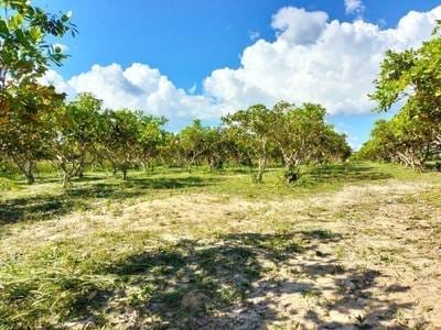 Thala Barivat Agricultural For Sale in Anlong Chrey Thala Barivat $395,000