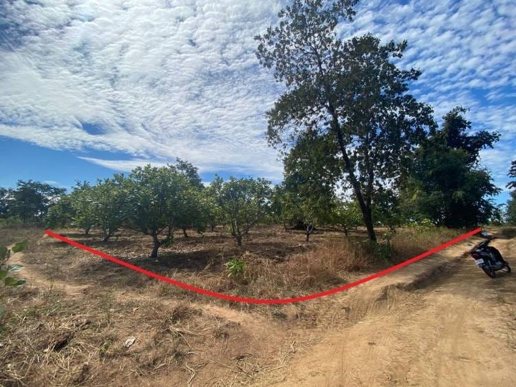 Land For Sale in Kantuot, Choam Ksant, Preah Vihear