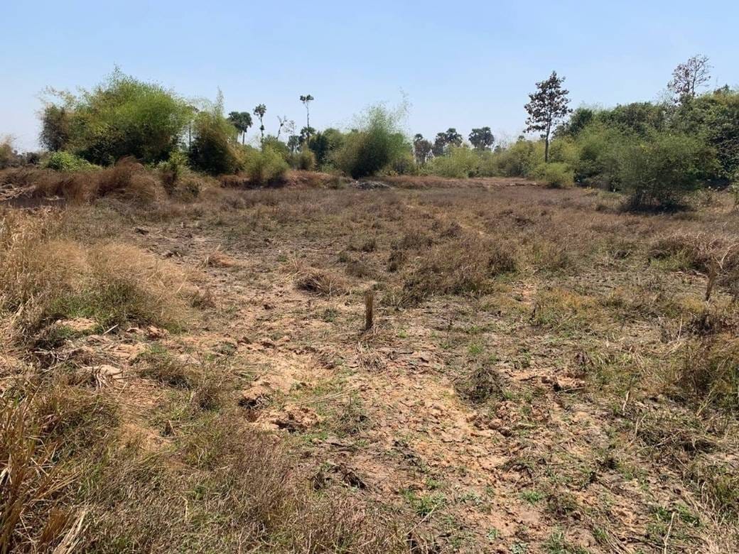 2,021 sqm Land Size Pozemky Na prodej