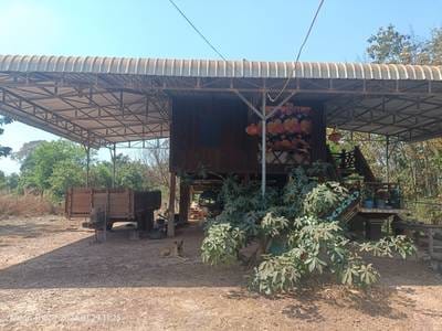 House and lot Na prodej in Kraya, Santuk, Kampong Thom