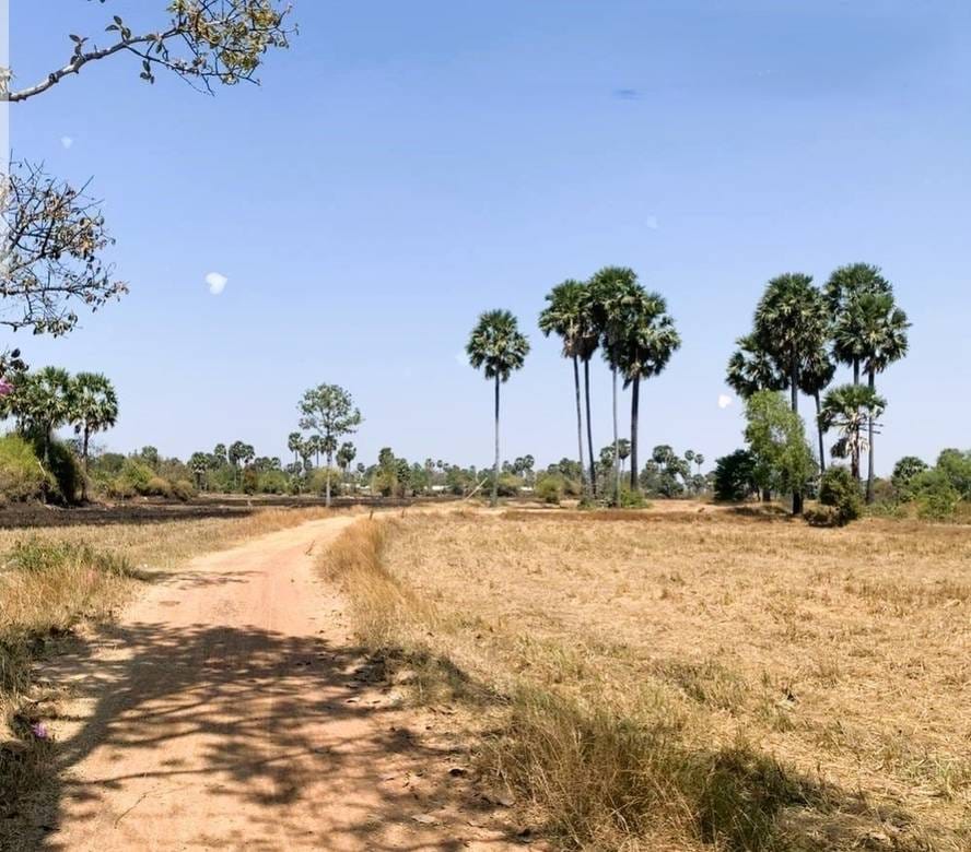 Pozemky Na prodej in Phnom Touch, Odongk, Kampong Speu