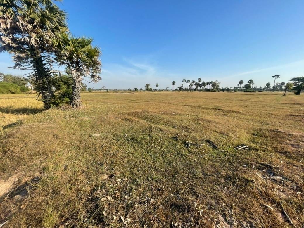 Lot For Sale in Odongk $120,000