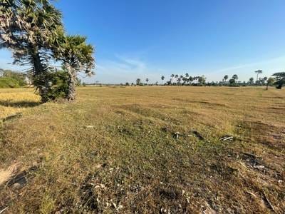 Lot For Sale in Odongk $120,000