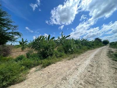 ที่ดิน สำหรับขาย ขนาดที่ดิน 40,940 ตร.ม.