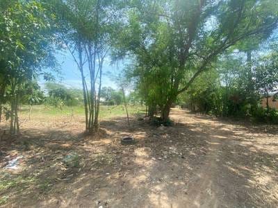 8,783 sqm Land Size House and lot Na prodej