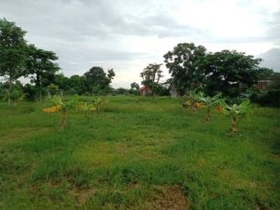 Chrey Loas ที่ดิน สำหรับขาย ใน Chrey Loas