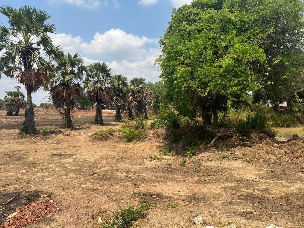 Lot For Sale in Pong Tuek, Dangkao, Phnom Penh
