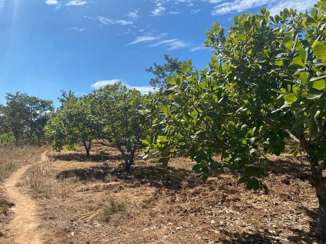 Relief À vendre de 10,530 m² de terrain