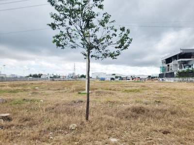 ที่ดิน สำหรับขาย ขนาดที่ดิน 7,825 ตร.ม.