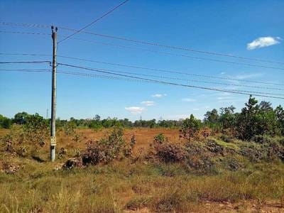ที่ดินเกษตรกรรม สำหรับขาย ใน Botum Sakor $500,000
