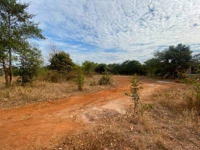 715.5 sqm Land Size Lot For Sale