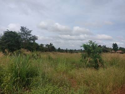 ដី សំរាប់លក់ នៅ ក្រងតេះ, ពេជ្រាដា, មណ្ឌលគីរី