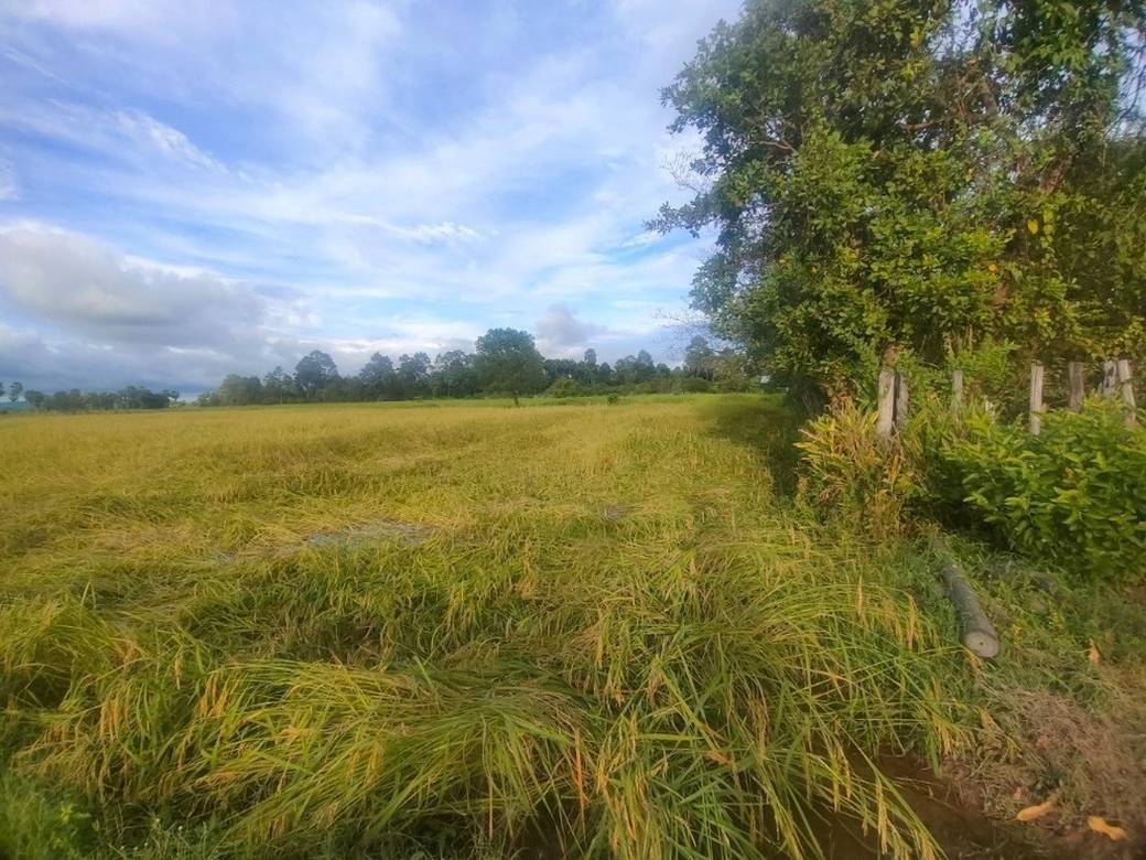 ដី សំរាប់លក់ ទំហំដី 10,475 ម៉ែត្រការ៉េ