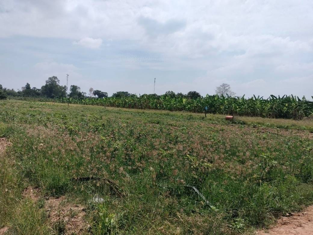 Preaek Ampil ที่ดิน สำหรับขาย ใน Preaek Ampil
