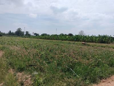 Preaek Ampil ที่ดิน สำหรับขาย ใน Preaek Ampil
