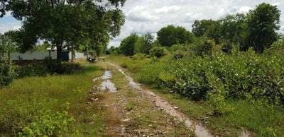 Pozemky Na prodej in Sla Kram, Siem Reap, Siem Reap
