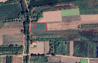ที่ดิน สำหรับขาย ใน Khsach Kandal $22,000