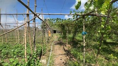 1,540平方米土地面积的土地出售