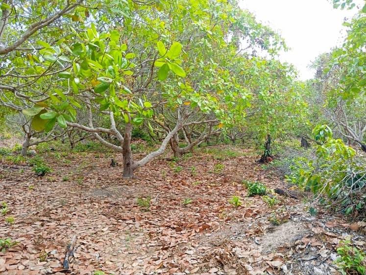 Działka Na sprzedaż w Boeung Lvea, Santuk, Kampong Thom