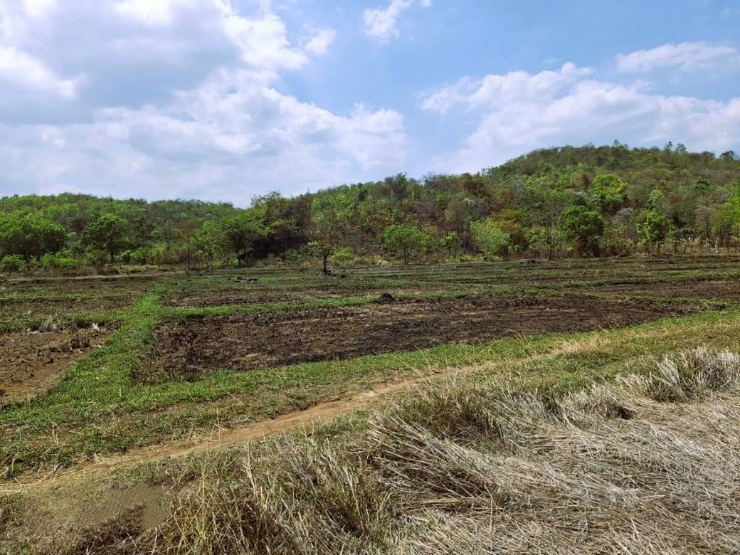 Lot For Sale in Srae Thmei, Rolea B'ier, Kampong Chhnang