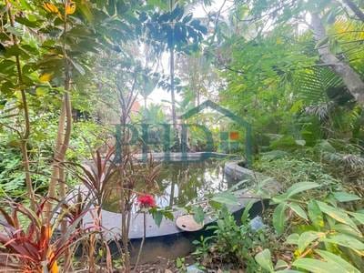 Siem ReapHouse and lot出租，价格$1,000